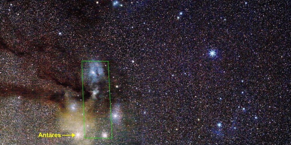 Western Scorpius - E17-18 -crop & label-LO